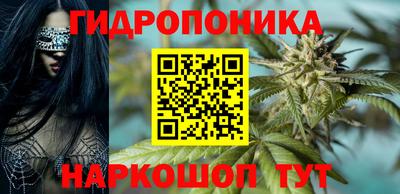 прущие грибы Заводоуковск