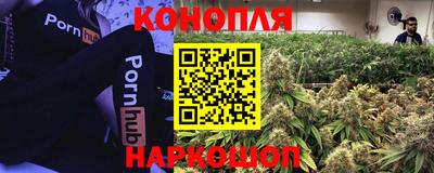 прущие грибы Заводоуковск