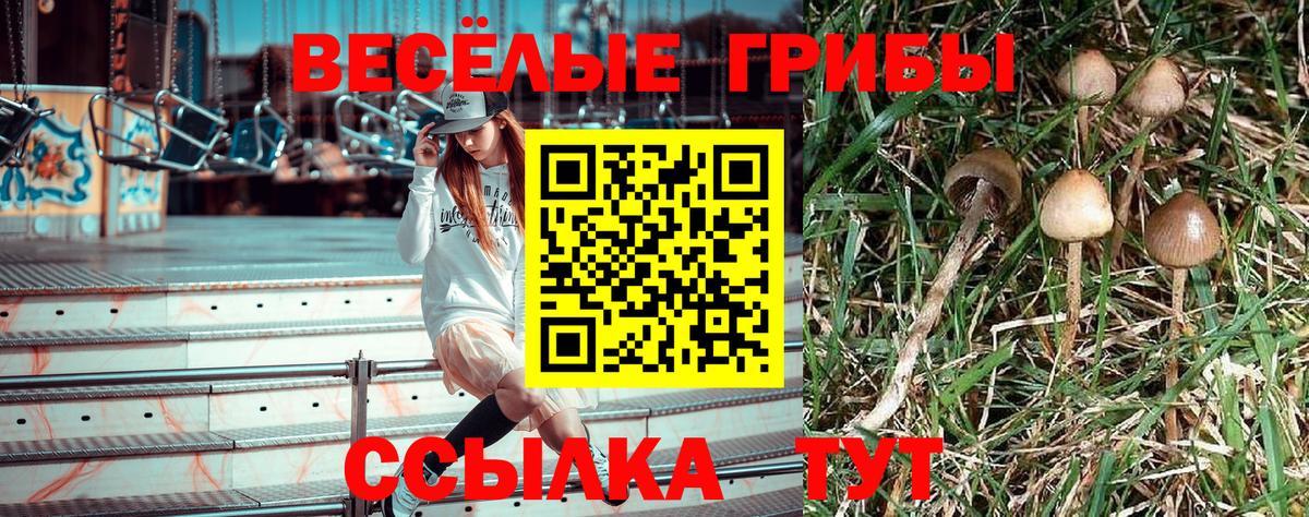 Галлюциногенные грибы прущие грибы  Вход с VPN  Псилоцибиновые грибы MAGIC MUSHROOMS  закладка  Наро-Фоминск 